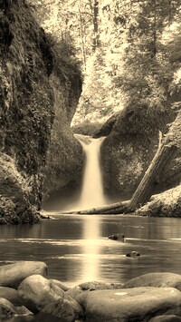 Sepia