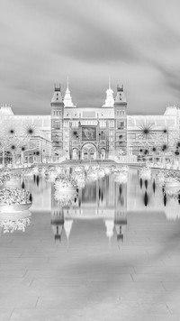 Szary + Negatyw