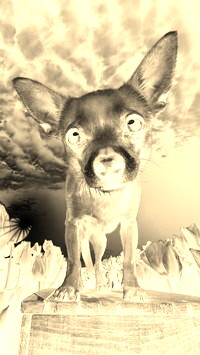 Sepia + Negatyw