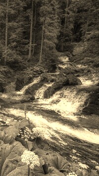 Sepia