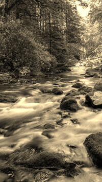 Sepia