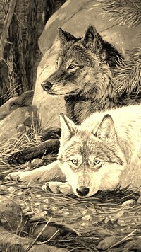 Sepia