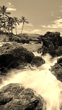 Sepia