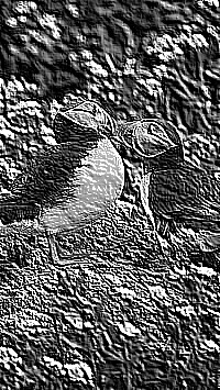 Skamielina