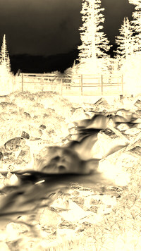 Sepia + Negatyw