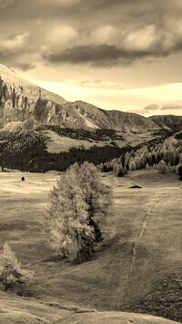 Sepia
