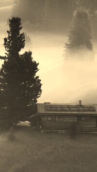 Szary + Sepia