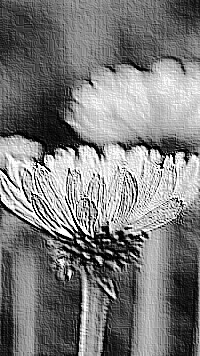Skamielina