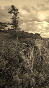 Szary + Sepia