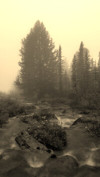 Sepia