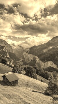 Sepia