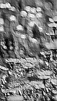 Skamielina