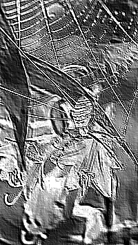 Skamielina