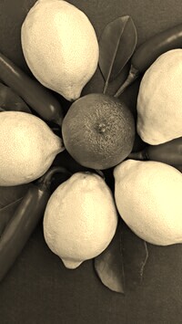 Szary + Sepia