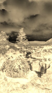 Sepia + Negatyw