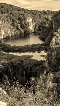 Sepia