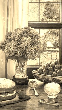 Szary + Sepia