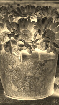 Sepia + Negatyw