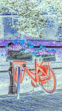 Negatyw