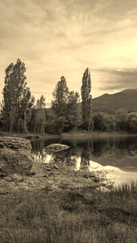 Szary + Sepia