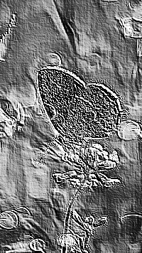 Skamielina