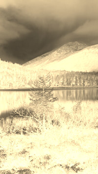 Sepia + Negatyw