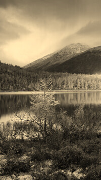 Szary + Sepia
