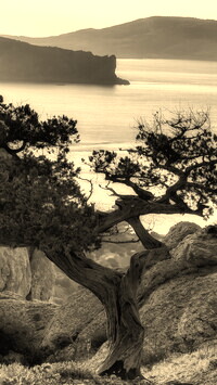 Szary + Sepia