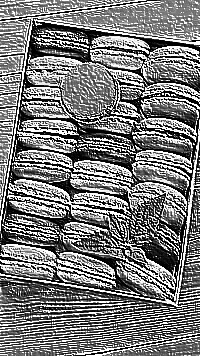 Skamielina