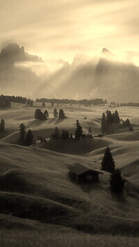 Szary + Sepia