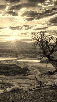 Sepia