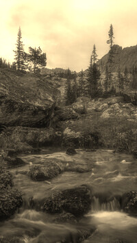 Szary + Sepia