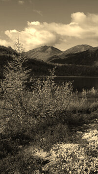 Sepia