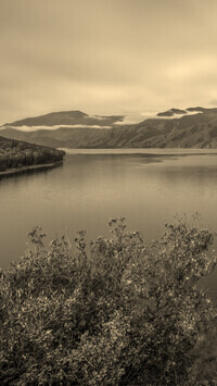 Sepia