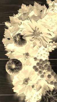 Sepia + Negatyw