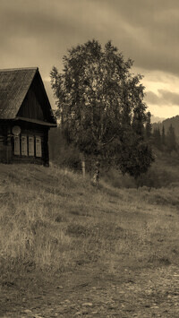Szary + Sepia