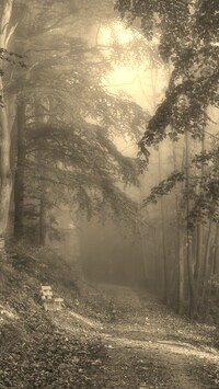 Szary + Sepia