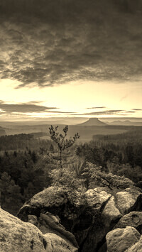 Sepia