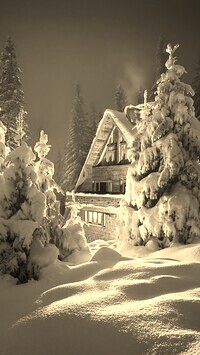 Szary + Sepia