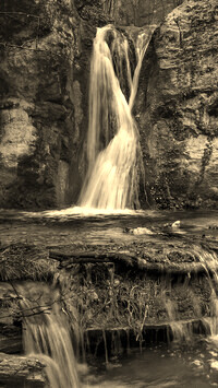 Sepia