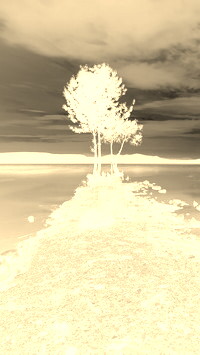 Sepia + Negatyw