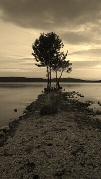 Sepia