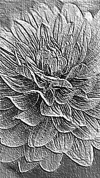 Skamielina