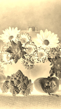 Sepia + Negatyw