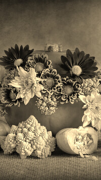 Szary + Sepia