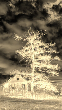 Sepia + Negatyw