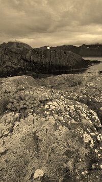Sepia
