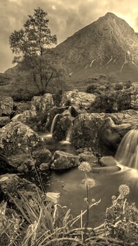 Sepia