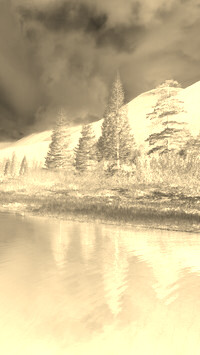 Sepia + Negatyw