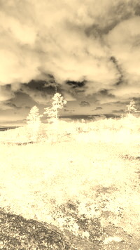Sepia + Negatyw